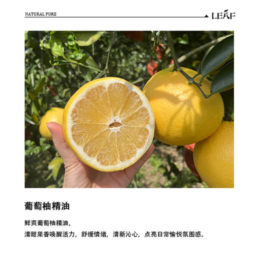 利芙耶 葡萄柚单方精油 商品图1