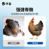 华畜纳米液体钙1L 有机液体钙更好吸收强骨骼少瘫脚蛋壳硬 商品缩略图6