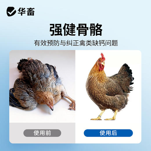 华畜纳米液体钙1L 有机液体钙更好吸收强骨骼少瘫脚蛋壳硬 商品图6