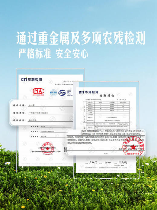 MM 山姆 高山娃娃菜 800g 商品图3