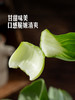 MM 山姆 上海青苗 600g 商品缩略图5
