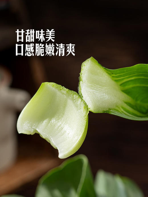 MM 山姆 上海青苗 600g 商品图5