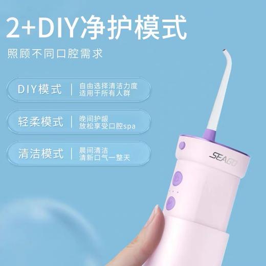 SEAGO赛嘉冲牙器家用洗牙器便携式（8023/8003款）72小时内发货 商品图3