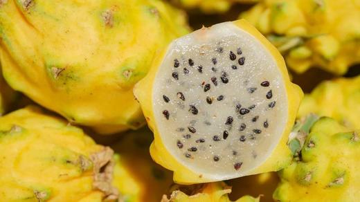 海南黄金燕窝果 商品图0