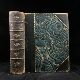 约19世纪中期 博斯普鲁斯之美 巴特利特近百幅风景版画 真皮精装16开