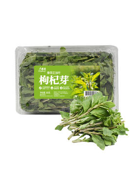 MM 山姆 枸杞芽 300g