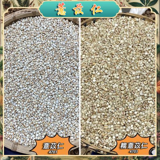 薏苡仁  煮粥糯小薏苡仁 薏仁米 苡仁米  家用食材 商品图3