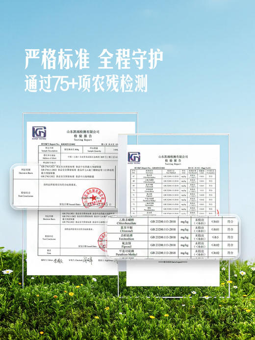 MM 山姆 圆宝嫩南瓜 800g 商品图3