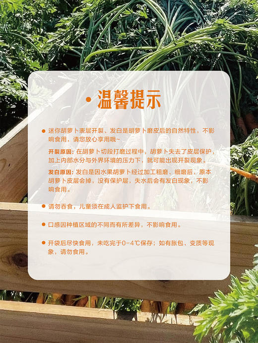 MM 山姆 迷你胡萝卜 600g 商品图7