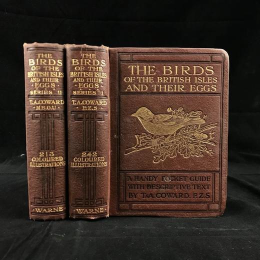 1919-1920年 不列颠群岛鸟类与鸟卵图鉴（2卷） 455幅彩色插图 漆布精装64开 商品图0