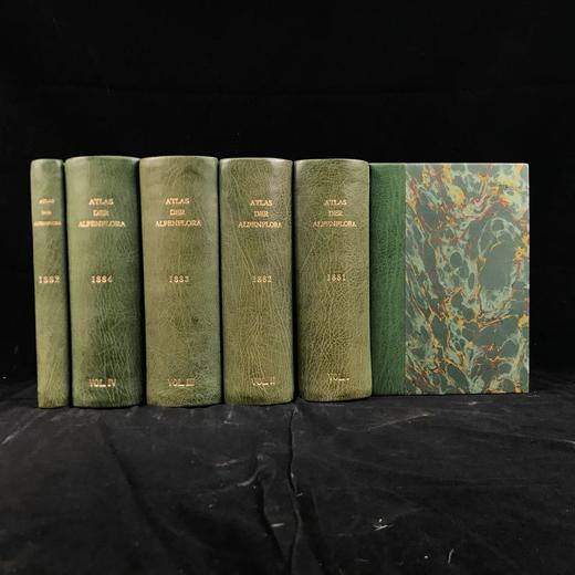 1881-1884年 阿尔卑斯山植物图鉴（5卷） 500幅彩色版画插图 精装32开 商品图0