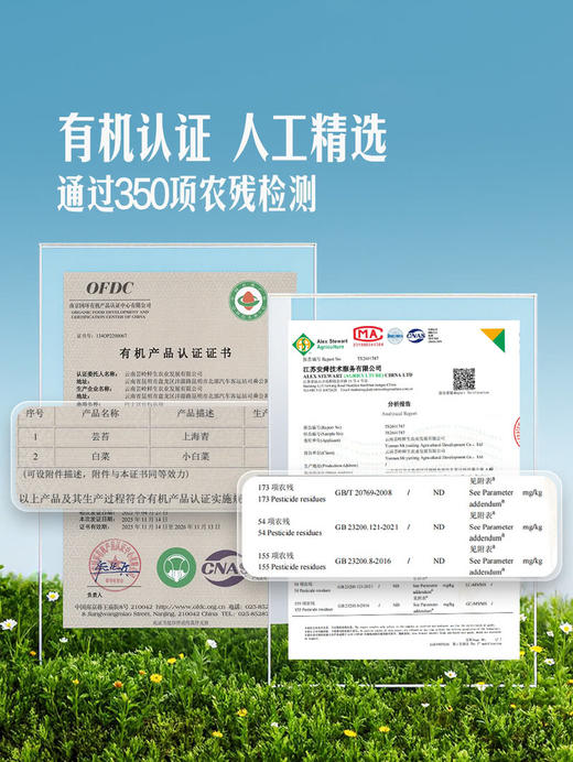 MM 山姆 有机小白菜 600g 商品图3