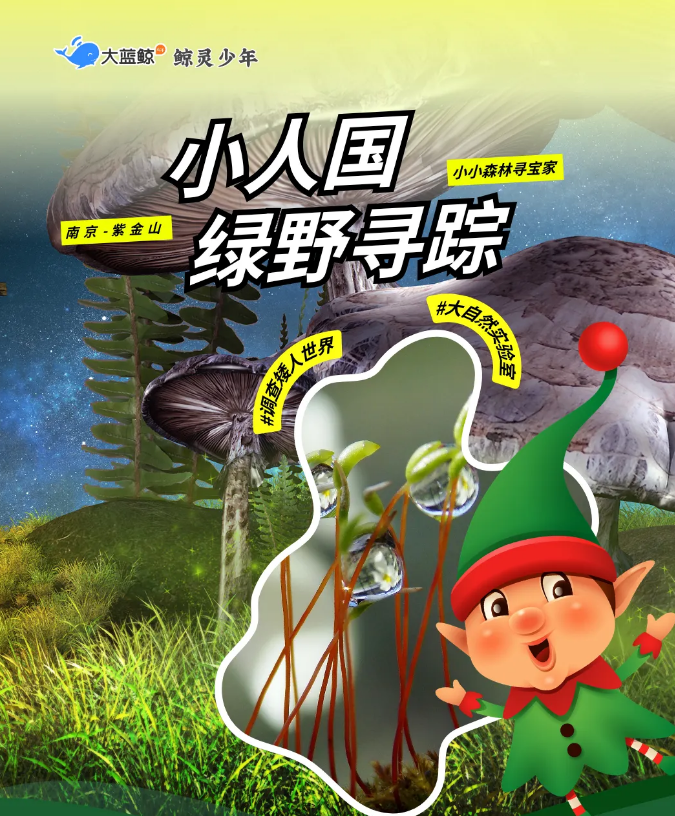 大蓝鲸爱研学【春假 | 独立/亲子半日营】小人国绿野仙踪-走进紫金山秘境，解锁2.7亿年的自然密码，赴一场迷你“探藓”之约！