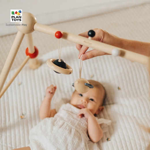 【泰国】PlanToys 进口木质玩具 益智美学 商品图4