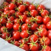 蛙语～高甜爆汁小番茄【净重约2斤】：超甜，爆汁，目前口感超一流的小番茄。 商品缩略图3