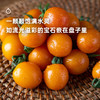 7天内发 企鹅市集|山东潍坊 斑斓小番茄盲盒 随机到手6个品种 优秀培育品种 滋味浓郁集中 商品缩略图3