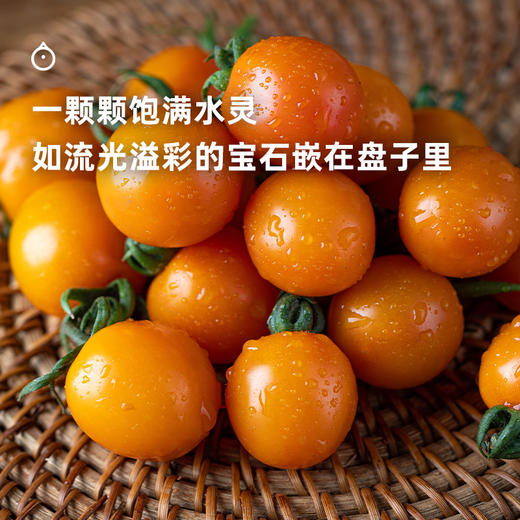 7天内发 企鹅市集|山东潍坊 斑斓小番茄盲盒 随机到手6个品种 优秀培育品种 滋味浓郁集中 商品图3