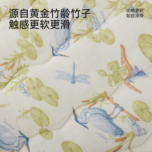 【10A抗菌+小风竹系列】英氏儿童枕头男童女童云片枕四季可用床上用品幼儿园枕头 商品图2