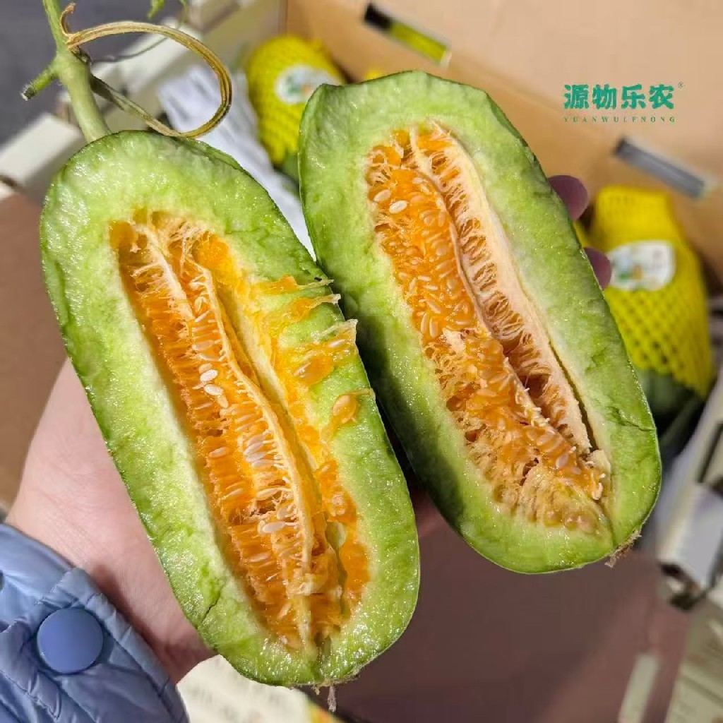 只此青绿 | 羊角蜜~羊角蜜中的佼佼者，可以从头吃到尾的甜瓜，毫无涩感，可食率100%，矿物质、糖分、维生素C含量比西瓜还高，最适合在换季时吃！