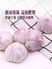 MM 山姆 山东大蒜 1kg 商品缩略图4