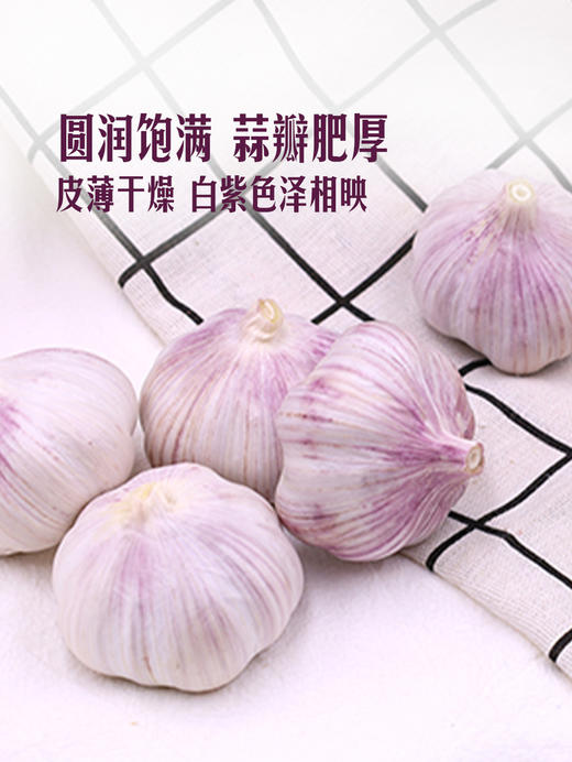 MM 山姆 山东大蒜 1kg 商品图4