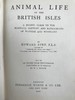 1921年 不列颠群岛动物生命图鉴 111余幅插图（48幅彩色） 精装64开 商品缩略图3