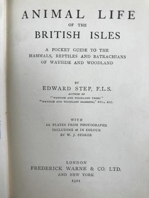 1921年 不列颠群岛动物生命图鉴 111余幅插图（48幅彩色） 精装64开 商品图3