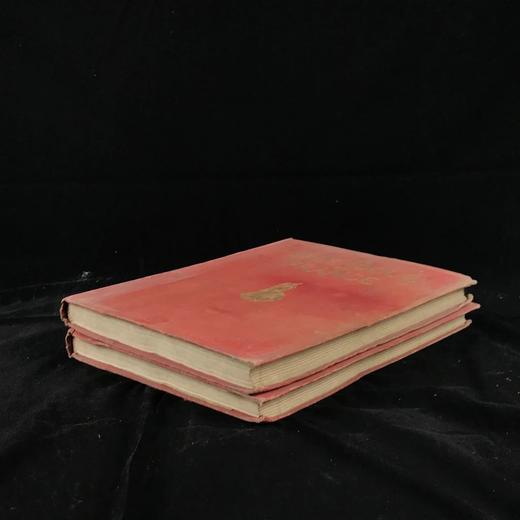 约20世纪早期 法兰西的荣光（全2卷） 19幅彩色插图千余幅黑白插图 漆布精装16开 商品图1