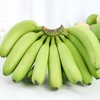 云南威尼斯绿皮甜香蕉 5斤装 商品缩略图6
