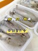 &【爆抢！！！】东山岛特定海域灯捕带籽小管，肉质更紧实脆嫩，籽满肉厚肉净无沙，顺丰活冻锁鲜 跟海边现捕上岸一模一样 商品缩略图1