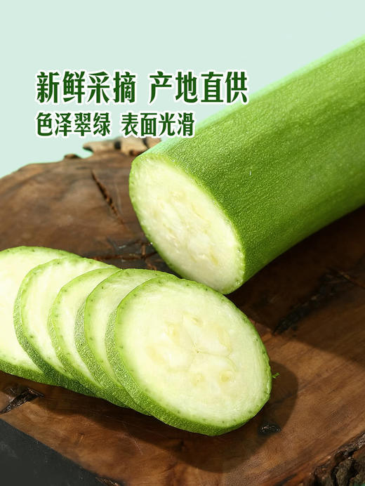 MM 山姆 翠绿西葫芦 1kg 商品图4