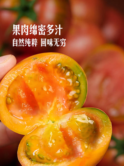 MM 山姆 草莓番茄 1.25kg 商品图6