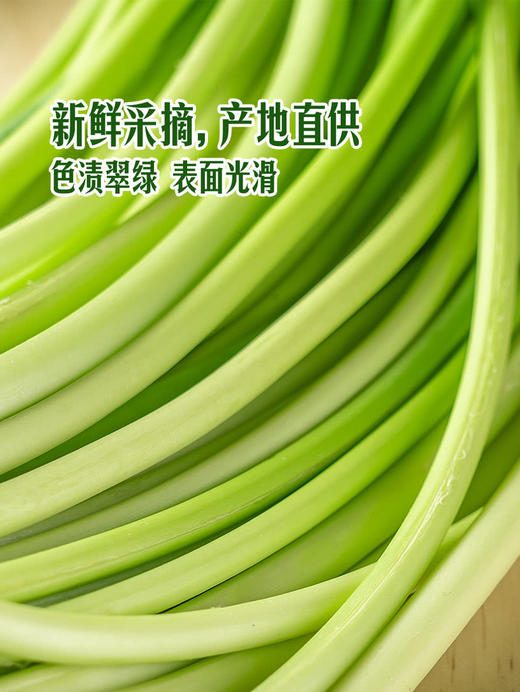 MM 山姆 蒜苔 500g 商品图4