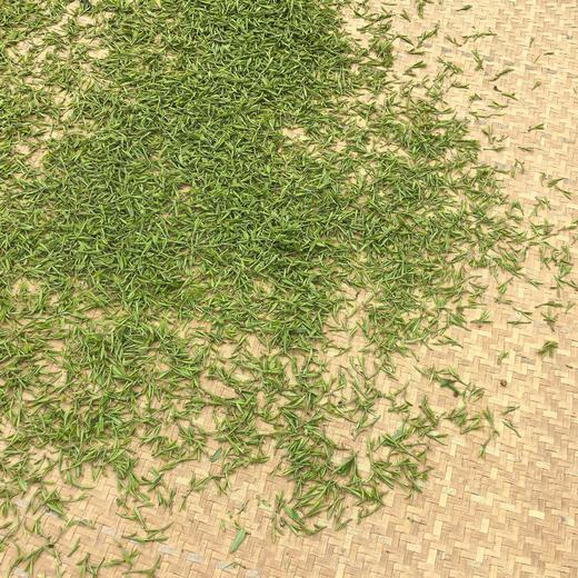 2026年富阳龙井3/28鲜叶 龙井43号鲜叶 杀青透无青气 商品图4