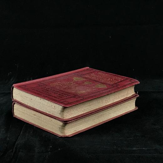 约20世纪早期 路边与林地野花指南（2卷） 257幅彩色与大量黑白插图 精装64开 商品图1