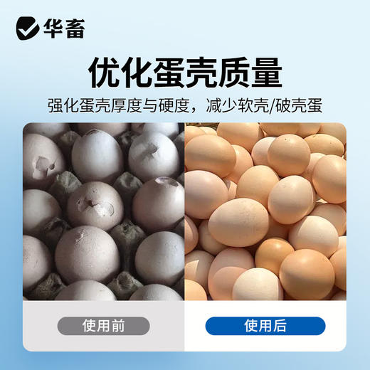 华畜纳米液体钙1L 有机液体钙更好吸收强骨骼少瘫脚蛋壳硬 商品图5