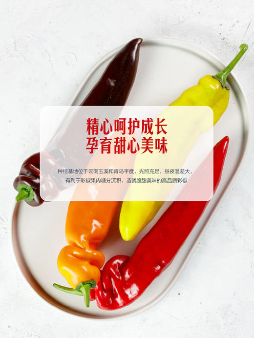 MM 山姆 甜芭莱姆彩椒 350g 商品图4