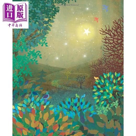 【中商原版】快乐之地 Britta Teckentrup A Happy Place 英文原版 儿童绘本 亲子图画书 插图精美 宁静的夜景探索之旅 进口书 商品图2