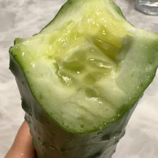 【鸿翠园招牌菜】鸿翠园 有机地黄瓜 商品图6