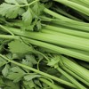 生态西芹 / 生菜丨时令鲜蔬，露天生态有机标准种植，羊粪发酵有机肥，香味浓郁，现采现发⭐顺丰快递 商品缩略图5