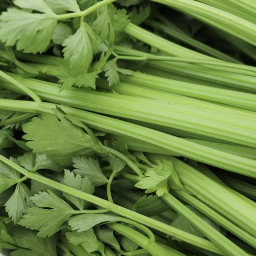 生态西芹 / 生菜丨时令鲜蔬，露天生态有机标准种植，羊粪发酵有机肥，香味浓郁，现采现发⭐顺丰快递 商品图5