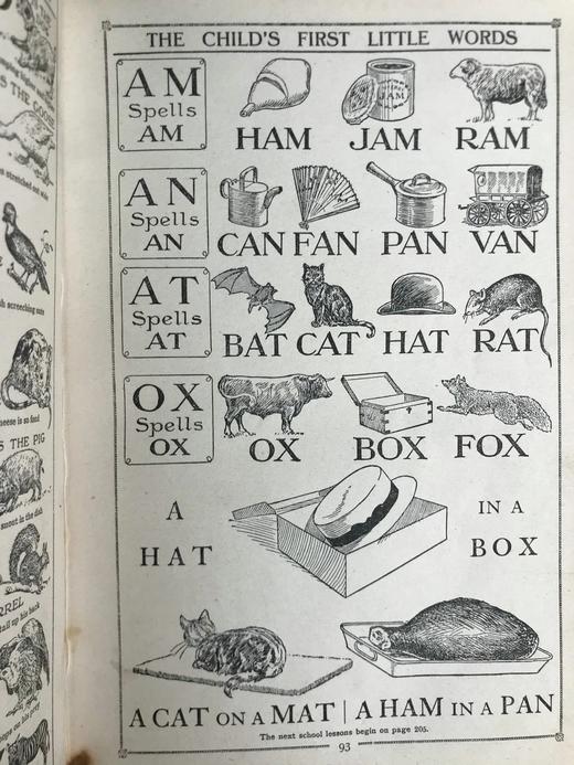 约20世纪早期 儿童百科全书（8卷） 数千幅插图 精装18开 商品图10