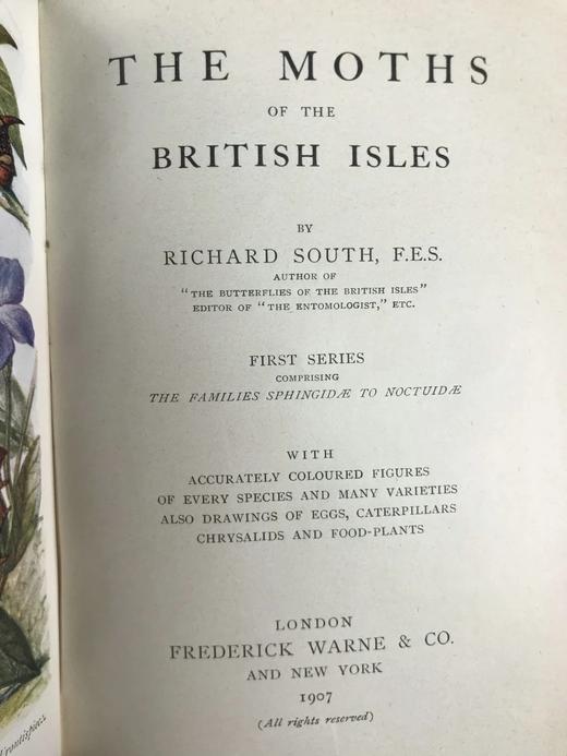 1907-1908年 不列颠群岛蛾类图鉴（2卷） 千余幅彩色插图 精装64开 商品图3