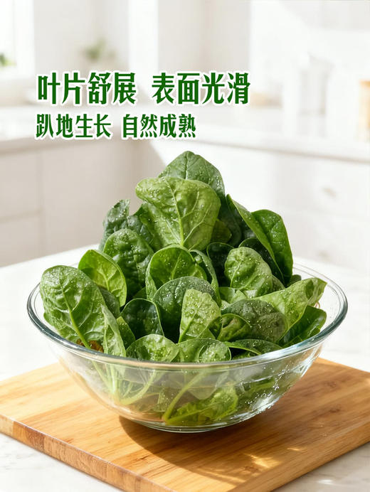 MM 山姆 笨菠菜 400g 商品图5