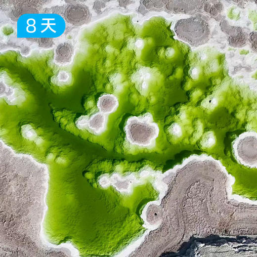 青甘大环线｜新线首发 一生只打算去一次大西北的“终极答案” 8日 商品图13