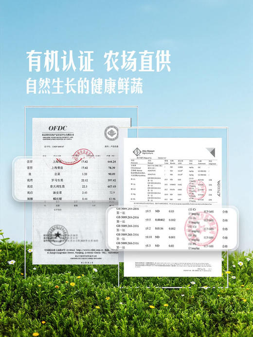 MM 山姆 有机罗马生菜 600g 商品图3