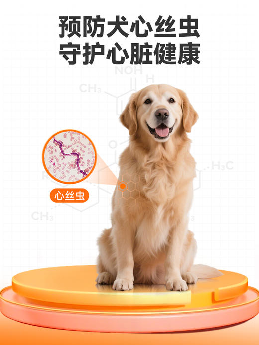 普安特狗狗驱虫药体内驱虫狗宠物驱虫犬用内驱虫狗米尔贝肟爱可净 商品图4
