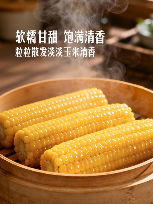 聚便利 X 山姆 长白山糖心糯玉米 1穗 商品图3