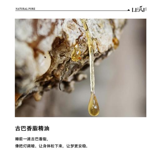 利芙耶 古巴香脂单方精油 商品图1