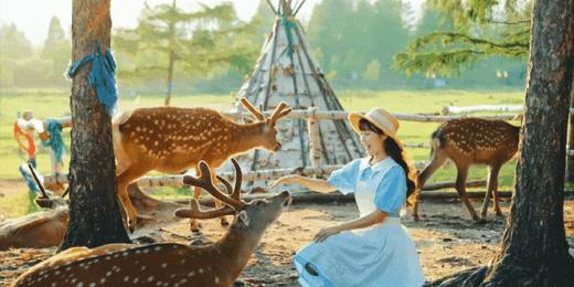 2026暑期｜呼伦贝尔房车亲子！首创变形大房车，1家即配摄影师！ 商品图0